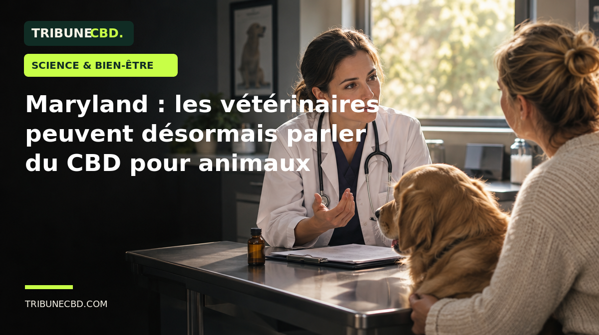 Illustration éditoriale : Maryland : les vétérinaires peuvent désormais parler du CBD pour animaux